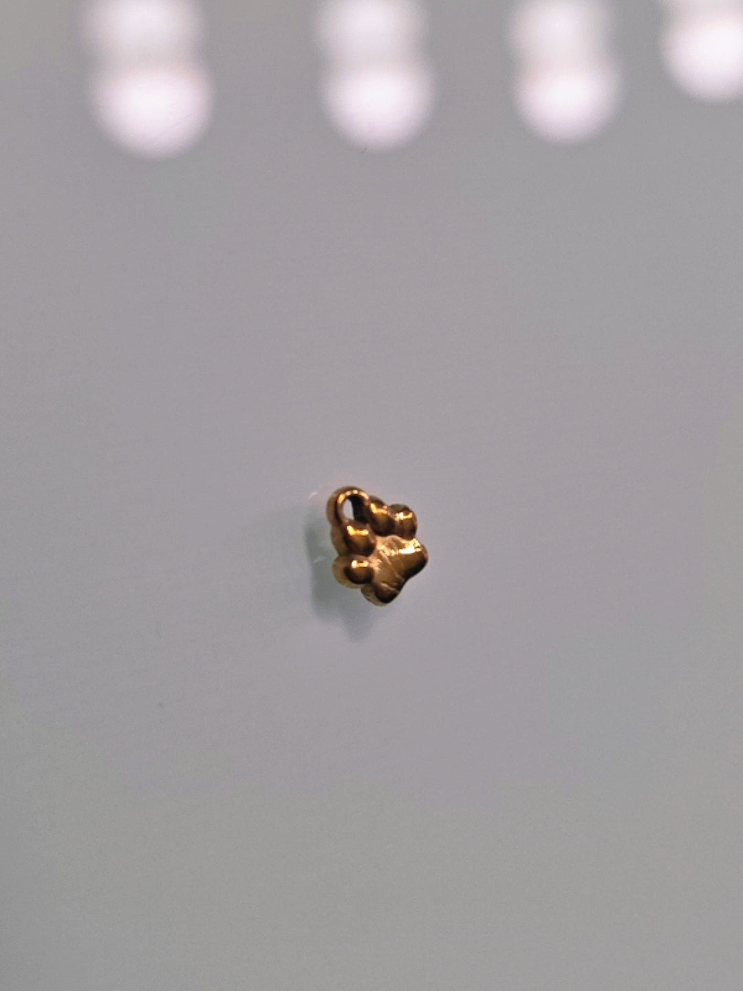 Paw charm